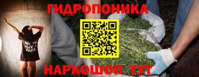 синтетический гашиш Сланцы