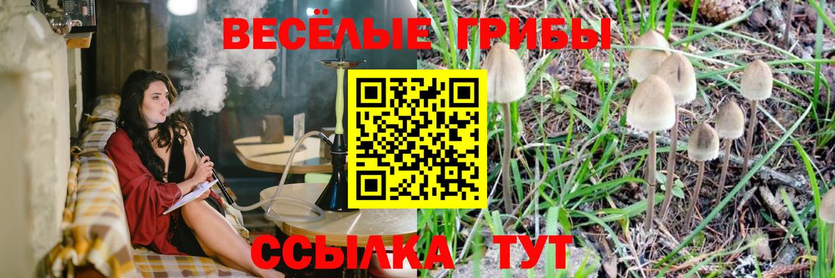 Псилоцибиновые грибы мухоморы Алейск
