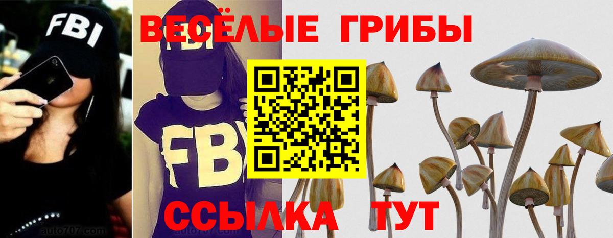Алейск  Галлюциногенные грибы Psilocybe  даркнет сайт  Вход с VPN  Галлюциногенные грибы MAGIC MUSHROOMS 